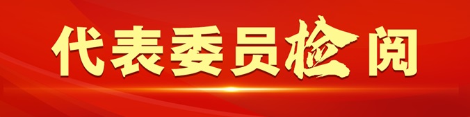 1全国人大代表刘铭杰:法律智库“会诊”精准解决企业难题.jpg